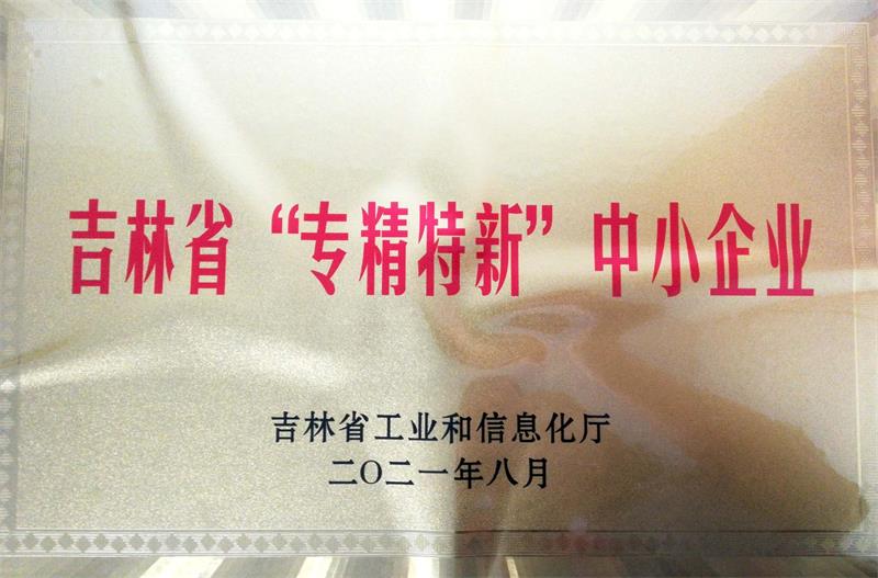 專精特新中小企業(yè)